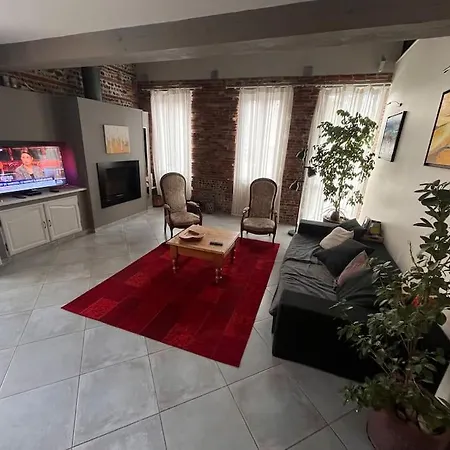 Magnifique Maison Toulousaine Tolosa Esterno foto