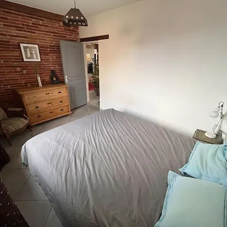 Magnifique Maison Toulousaine Tolosa Esterno foto