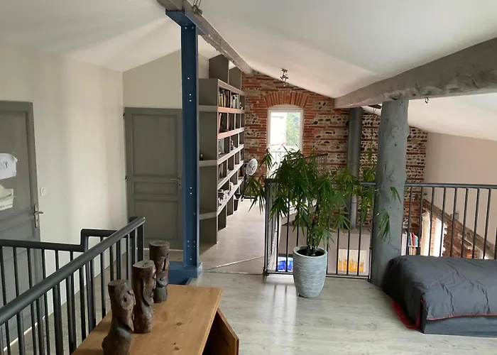 Magnifique Maison Toulousaine