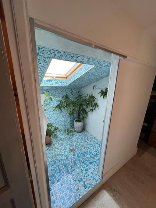 Magnifique Maison Toulousaine Villa Tolosa